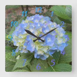 Sweet Bleek Blue Mophead Hydrangea Numeral Clock Vierkante Klok