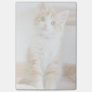 Sweet Blue Eyed Kat Post-it® Notes