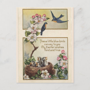 Sweet Bluebirds Paasgroeten Bericht Briefkaart