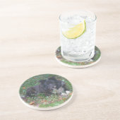 Sweet Border Collie Chien Dessous de verre de bois (Côté)