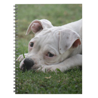 Sweet Boxer Puppy Notitieboek