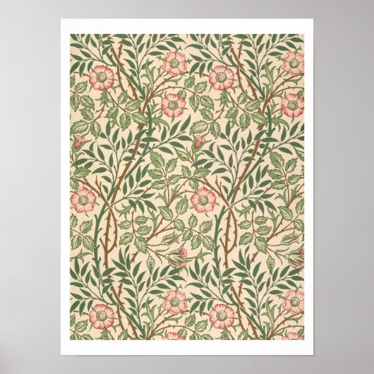 'Sweet Briar'-ontwerp voor behangpapier, gedrukt d Poster (Voorkant)