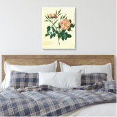 Sweet Briar-Roos Canvas Afdruk (Insitu (Slaapkamer))
