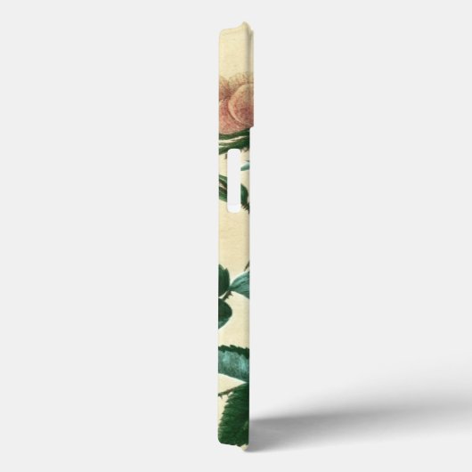 Sweet Briar-Roos Case-Mate iPhone Case (Achterkant / Rechts)