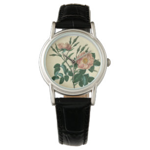 Sweet Briar-Roos Horloge