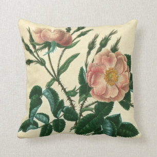 Sweet Briar-Roos Kussen