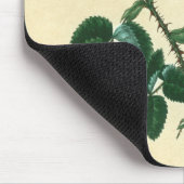 Sweet Briar-Roos Muismat (Hoek)