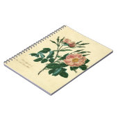 Sweet Briar-Roos Notitieboek (Linkerzijde)