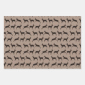 Sweet Bucks Inpakpapier Vel (Voorkant 2)