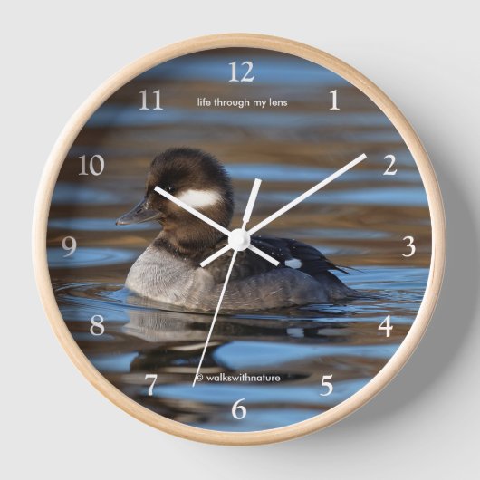 Sweet Bufflehead Duck op Sunlit Watts (Voorkant)