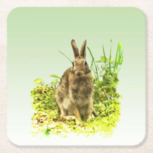 Sweet Bunny Rabbit in Grass Paper Onderzetters