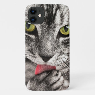 Sweet Cat iPhone 11 Hoesje