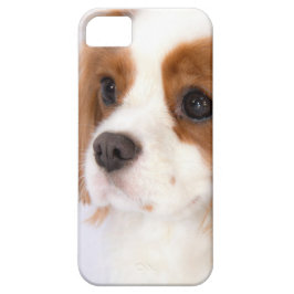 Sweet Cavalier King Charles Spaniel Hoesje 5 g
