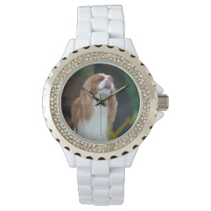 Sweet Cavalier King Charles Spaniel Horloge