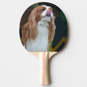 Sweet Cavalier King Charles Spaniel Tafeltennisbatje