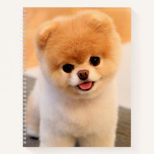 Sweet Charming Pomeranian Unique Notitieboek (Voorkant)
