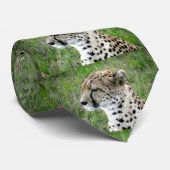 Sweet Cheeks Cheetah Safari Stropdas (Opgerold)