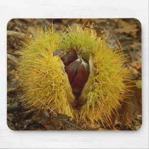 Sweet Chestnut Mouse Mat Muismat