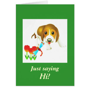 Sweet Chien