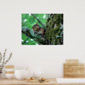 Sweet Chipmunk dans une affiche d'arbre (Cuisine)