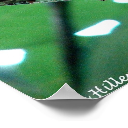 Sweet Chipmunk dans une affiche d'arbre (Coin)