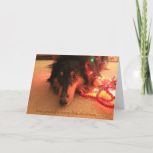 Sweet Collie Kerstmis, laat jezelf een zeer vrolij Feestdagen Kaart