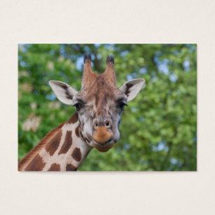Sweet Curios-Giraffe Visitekaartje