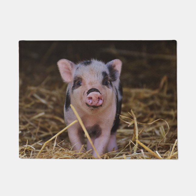 Sweet Cute Pig Deurmat (Voorkant)