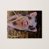 Sweet Cute Pig Legpuzzel (Horizontaal)
