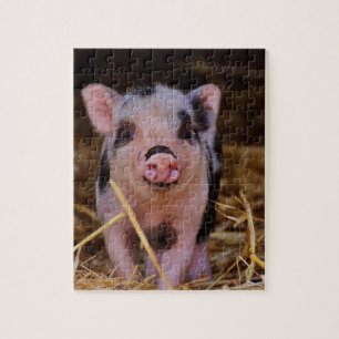 Sweet Cute Pig Legpuzzel
