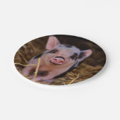 Sweet Cute Pig Papieren Bordje (Gekanteld)