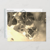 Sweet Dedication - Briefkaart (Voorkant / Achterkant)