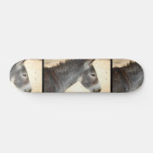 Sweet Donkey Skateboard (Horizontaal)