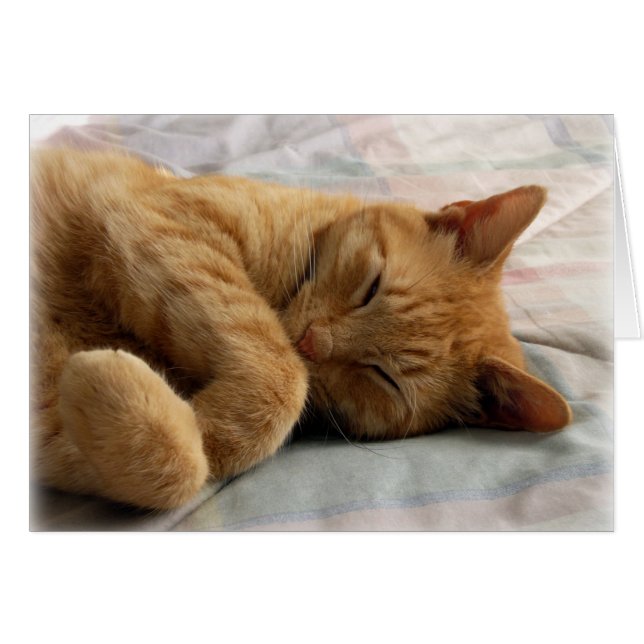 Sweet Dreams (Voorkant Horizontaal)