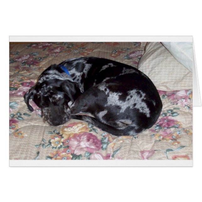 Sweet Dreams (Devant horizontal)