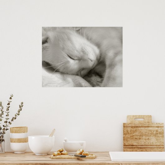 Sweet Dreams - affiche (Cuisine)