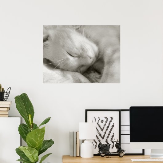 Sweet Dreams - affiche (Bureau à domicile)