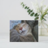 sweet dreams cat taking her nap postcard briefkaart (Staand voorkant)