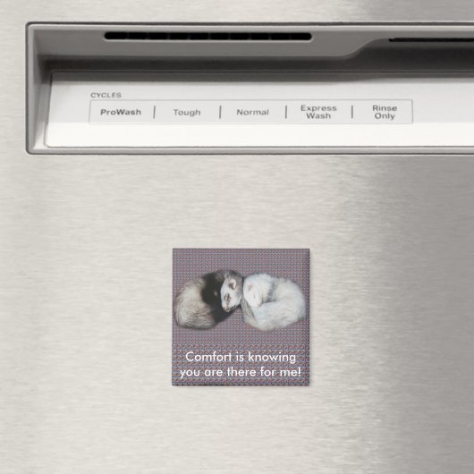 Sweet Dreams Ferret Magneet (Insitu (Vaatwasser))