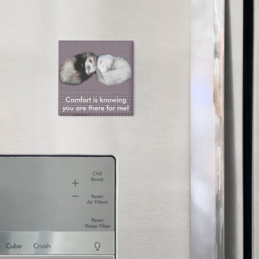 Sweet Dreams Ferret Magnet Magneet (Insitu (Koelkast))