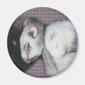 Sweet Dreams Ferrets Magnet (Devant)