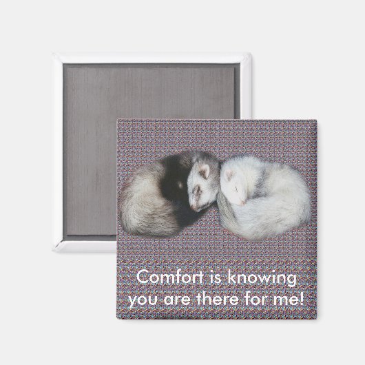 Sweet Dreams Ferrets Magnet (Recto/Verso)