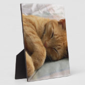 Sweet Dreams Fotoplaat (Zijkant)