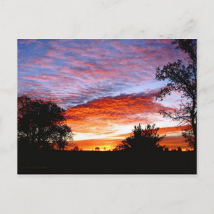 Sweet Dreams Kodi Briefkaart