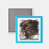 Sweet Dreams Magnet (Recto/Verso)