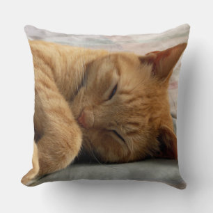 Sweet Dreams Pillow Kussen