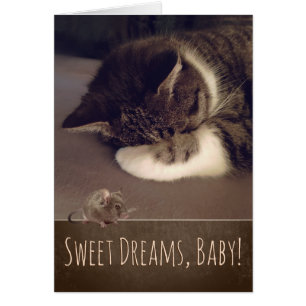 Sweet Dreams Slapen Kat (tekst aanpasbaar)