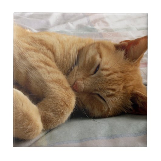 Sweet Dreams Tegeltje (Voorkant)