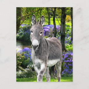 "Sweet Easter" Briefkaart