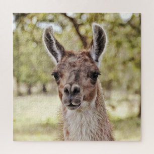 Sweet en Cute Llama Face Big Puzzle Legpuzzel